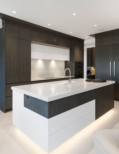 Modern Kitchen Remodel